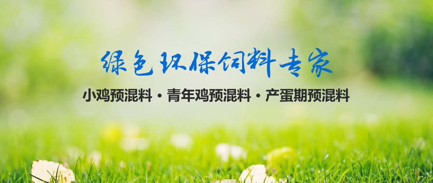 河南省大方重型機器有限公司(官網)單雙梁起重機|門式起.